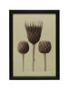 Wood Framed Glass Wall Décor w/ Artichokes, [product_price]- Greenhouse Home