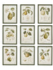 Wood Framed Wall Décor w/ Vintage Print, 9 Styles, [product_price]- Greenhouse Home