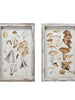 Wood Framed Glass Wall Décor w/ Mushrooms Print, 2 Styles, [product_price]- Greenhouse Home