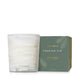 Frasier Fir Tidings Poured Candle, 13oz.