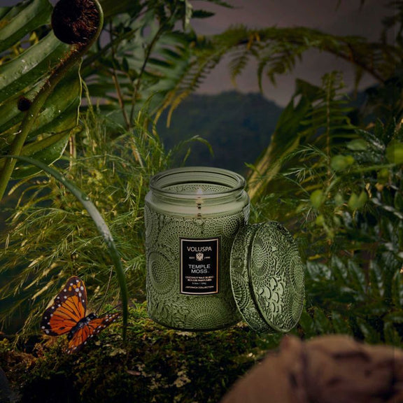 Temple Moss Small Jar