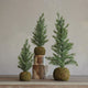Faux Fir Tree with Moss Ball Base