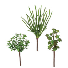 Assorted Succulent Picks - Greenhouse Home