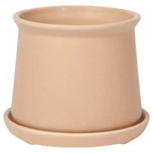 Nest Plant Pot - Greenhouse Home