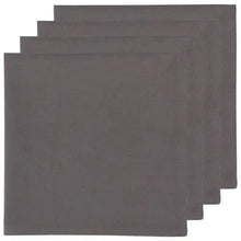 Spectrum Linen Napkin, [product_price]- Greenhouse Home
