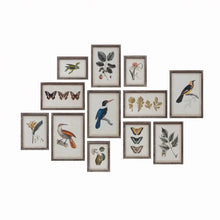 Wood Framed Glass Wall Décor with Insects, Birds, Plants and Fruit - Greenhouse Home